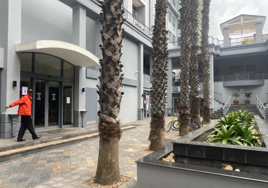 To Let 1 Bedroom Property for Rent in Cape Town City Centre Western Cape